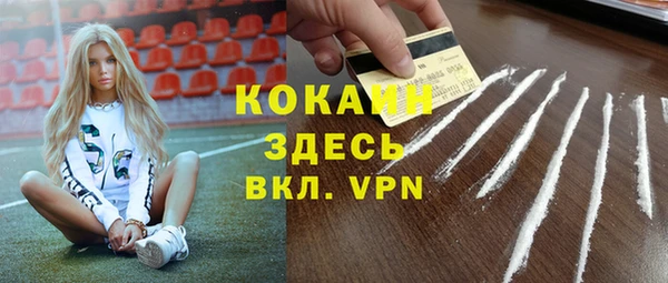 стаф Осташков