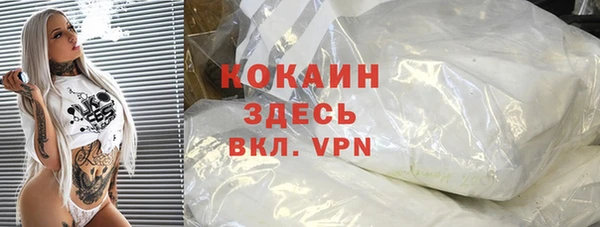 стаф Осинники